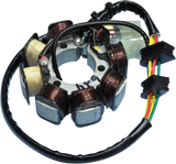 RICK'S MOTORSPORT ELECTRIC Stator - Honda 21-624