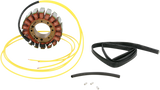 RICK'S MOTORSPORT ELECTRIC Stator - Can-Am 21-056
