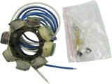 RICK'S MOTORSPORT ELECTRIC Stator - Honda 21-636