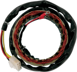 RICK'S MOTORSPORT ELECTRIC Stator - Honda 21-101