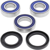 ALL BALLS Wheel Bearing Kit - Rear 25-1111