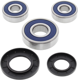ALL BALLS Wheel Bearing Kit - Rear 25-1344