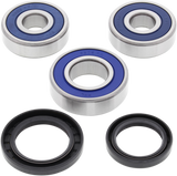 ALL BALLS Wheel Bearing Kit - Rear 25-1388