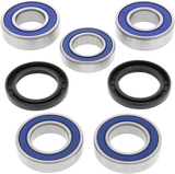 ALL BALLS Wheel Bearing Kit - Rear 25-1492