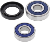 ALL BALLS Wheel Bearing Kit - Rear 25-1244