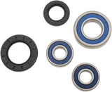 ALL BALLS Wheel Bearing Kit - Rear 25-1393