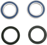 ALL BALLS Wheel Bearing Kit - Front 25-1402-A