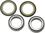 ALL BALLS Steering Stem Bearing 22-1012