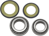 ALL BALLS Steering Stem Bearing - Honda/Triumph 22-1020