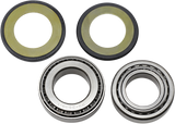 ALL BALLS Steering Stem Bearing 22-1023