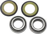 ALL BALLS Steering Stem Bearing 22-1024