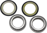 ALL BALLS Steering Stem Bearing 22-1031