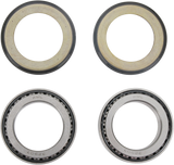 ALL BALLS Steering Stem Bearing 22-1039