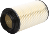 ALL BALLS Replacement Air Filter - Polaris 48-1005
