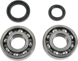 MOOSE RACING Crank Bearings and Seals - Suzuki 24-1038 - Cycle City Outdoors