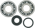 MOOSE RACING Crank Bearings and Seals - Husqvarna 24-1107 - Cycle City Outdoors