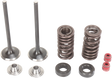 MOOSE RACING Valve and Spring Kit M30-31660 - Cycle City Outdoors