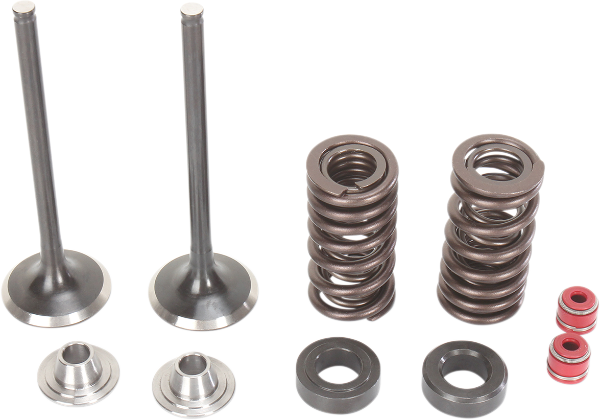 MOOSE RACING Valve and Spring Kit M30-31660 - Cycle City Outdoors