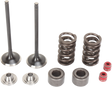 MOOSE RACING Valve and Spring Kit M30-31860 - Cycle City Outdoors