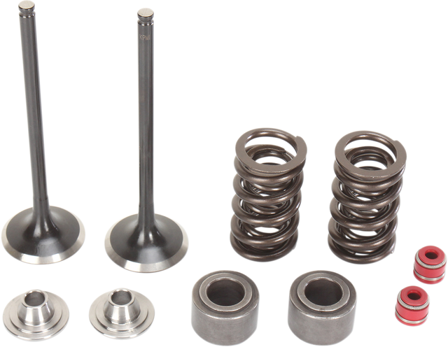 MOOSE RACING Valve and Spring Kit M30-31860 - Cycle City Outdoors