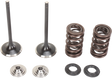 MOOSE RACING Valve and Spring Kit M30-31960 - Cycle City Outdoors