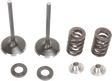 MOOSE RACING Valve and Spring Kit M40-41060 - Cycle City Outdoors