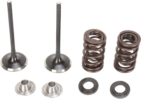 MOOSE RACING Valve and Spring Kit M60-61260 - Cycle City Outdoors