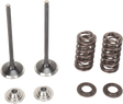 MOOSE RACING Valve and Spring Kit M80-80860 - Cycle City Outdoors
