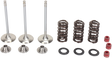 MOOSE RACING Intake Valve Kit M80-80950 - Cycle City Outdoors