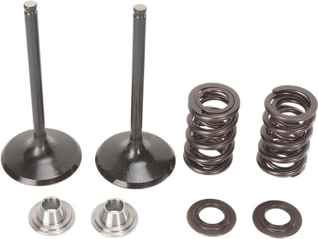 MOOSE RACING Valve and Spring Kit M80-81060 - Cycle City Outdoors