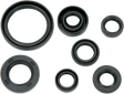 MOOSE RACING Motor Seals 822228MSE - Cycle City Outdoors
