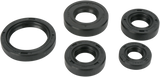 MOOSE RACING Motor Seals 822242MSE - Cycle City Outdoors