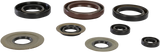 MOOSE RACING Motor Seals 822218MSE - Cycle City Outdoors