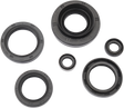MOOSE RACING Motor Seals 822366MSE - Cycle City Outdoors