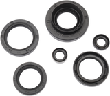 MOOSE RACING Motor Seals 822366MSE - Cycle City Outdoors