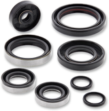 MOOSE RACING Motor Seals 822264MSE - Cycle City Outdoors
