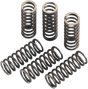 MOOSE RACING Clutch Springs - Gas Gas MHDS115-6 - Cycle City Outdoors