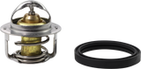 ALL BALLS Replacement Thermostat - Polaris 16-3001