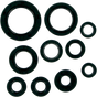 MOOSE RACING Motor Seals 822107MSE - Cycle City Outdoors