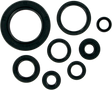 MOOSE RACING Motor Seals - Honda 822110MSE - Cycle City Outdoors