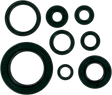 MOOSE RACING Motor Seals 822111MSE - Cycle City Outdoors