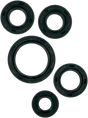 MOOSE RACING Motor Seals 822138MSE - Cycle City Outdoors