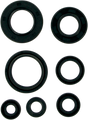 MOOSE RACING Motor Seals 822153MSE - Cycle City Outdoors