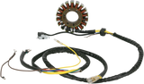 MOOSE UTILITY Stator - Polaris M-21-558