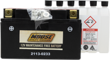 MOOSE UTILITY AGM Battery - YTZ10S MTZ10S-BS