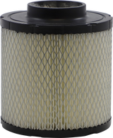 ALL BALLS Replacement Air Filter - Polaris 48-1007