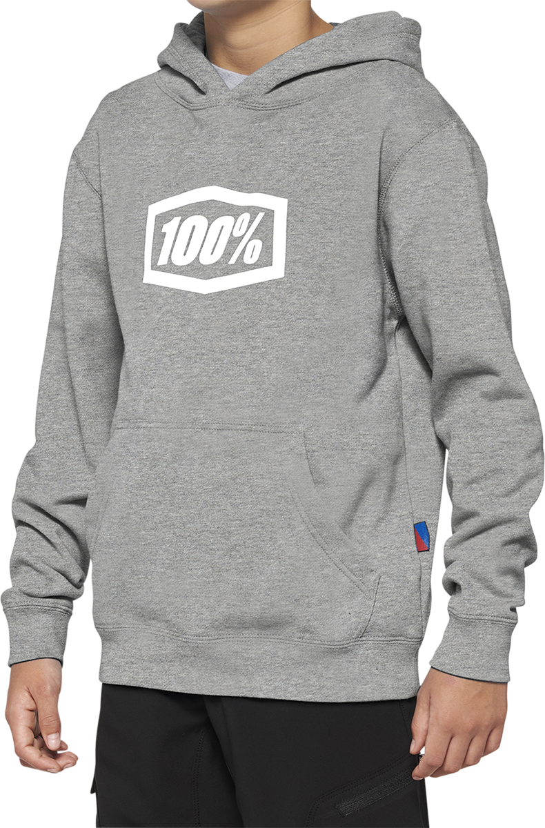100% Youth Icon Hoodie - Gray - Large 20030-00006 - Cycle City Outdoors