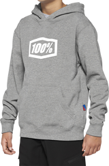 100% Youth Icon Hoodie - Gray - Large 20030-00006 - Cycle City Outdoors