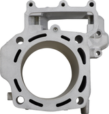 CYLINDER WORKS Cylinder - 85.00 mm - Kawasaki CW30013