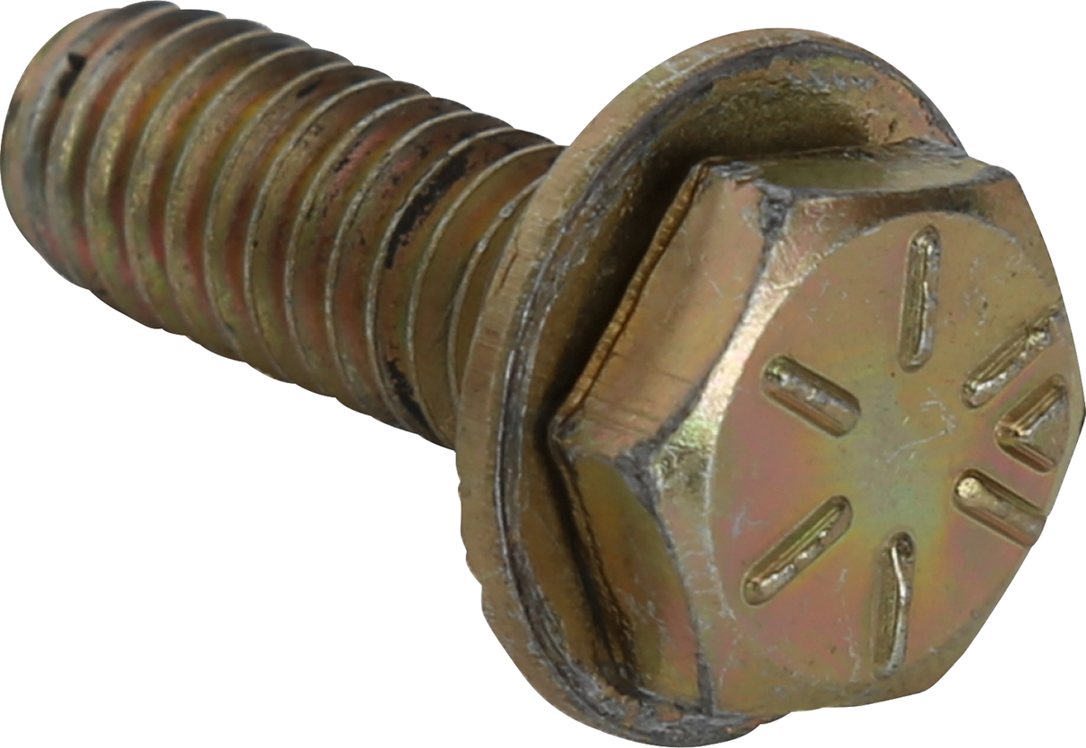 HIGH LIFTER Beadlock Bolt - Gold - 5/16" HLBOLT-000